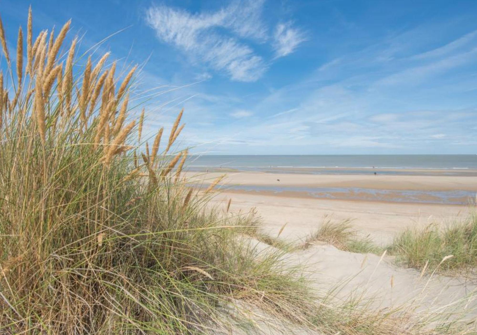 Salty - Vakantiehuisje Op De Grens Van Bredene-De Haan Exterior foto